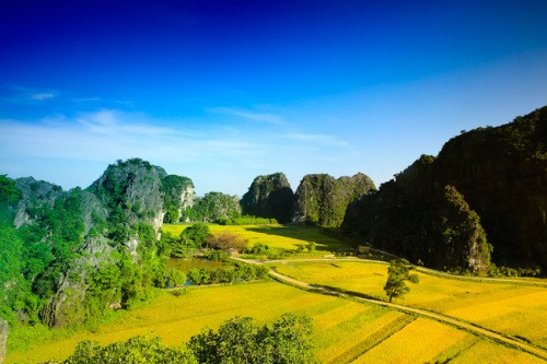 Tam Coc-Bich Dong’s charming scenery - ảnh 1